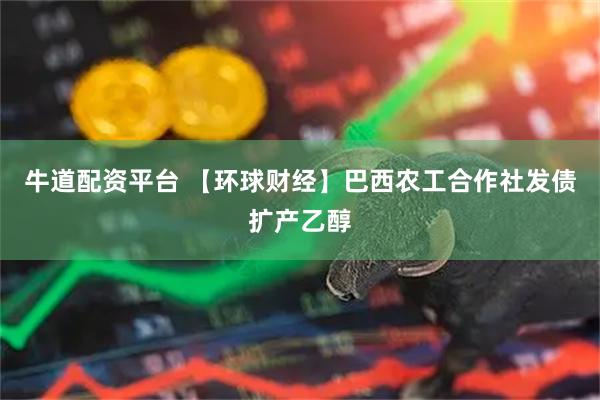 牛道配资平台 【环球财经】巴西农工合作社发债扩产乙醇